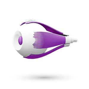 Informācija par oflatmoloģiju